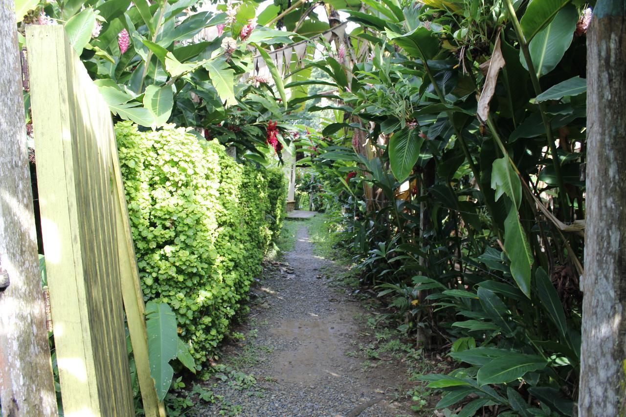 Los Robles Capurgana Hotel Luaran gambar